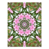 Pink Azaleas 1E kaleidoscope11 Photo