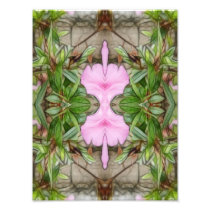 Pink Azaleas 1E kaleidoscope 2 Photograph