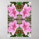 Pink Azaleas 1E kaleidoscope 6 Posters