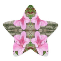 Pink Azaleas 1E kaleidoscope 6 Star Sticker