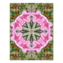 Pink Azaleas 1E kaleidoscope 8 Photograph