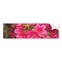 Pink Azaleas bumper stickers by Naturefreak686 Pink Azaleas bumper stickers