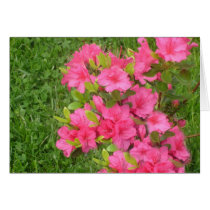 Pink Azaleas Card by Country1969 Pink Azaleas Card
