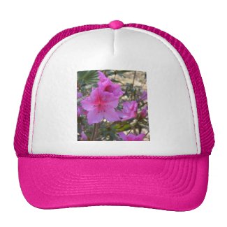 Pink Azaleas Flowers Hat