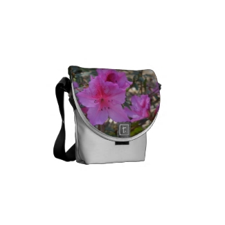Pink Azaleas Flowers Mini