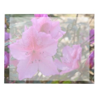 Pink Azaleas Flowers Notepad