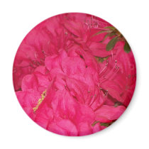 Pink Azaleas magnets