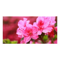 Pink Azaleas Personalized Photo Card