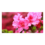 Pink Azaleas Personalized Photo Card