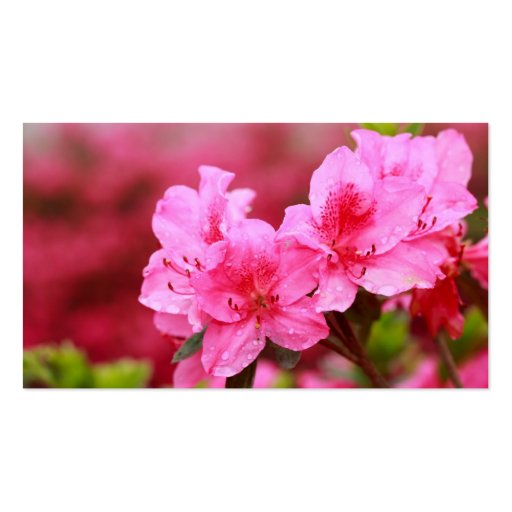 Pink Azaleas - Pocket calendar Business Card (front side)