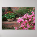 pink azaleas print
