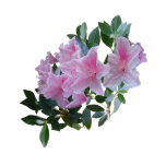 Pink Azaleas shirt