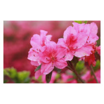 Pink Azaleas Personalized Stationery