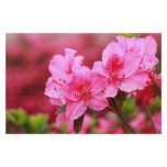 Pink Azaleas Personalized Stationery