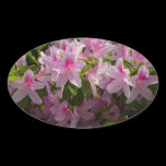 Pink Azaleas Sticker