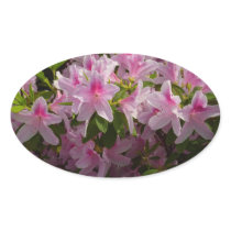 Pink Azaleas Sticker