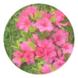 Pink Azaleas Stickers