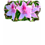 Pink azaleas t-shirts