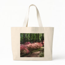Pink Azaleas Woodland Path