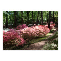 Pink Azaleas Woodland Path Business Card Templates