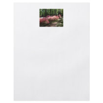 Pink Azaleas Woodland Path Full Color Flyer