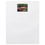 Pink Azaleas Woodland Path flyers
