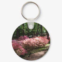 Pink Azaleas Woodland Path