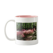 Pink Azaleas Woodland Path