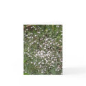 Pink Baby's Breath Brings Immediate Smile cards by grrlcpc Pink Baby's Breath Brings Immediate Smile cards