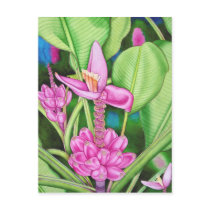 Pink Bananas postcards