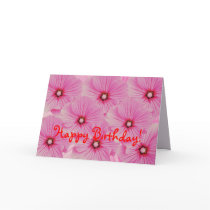 Pink Beauties cards