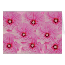 Pink Beauties cards