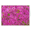 PINK BEAUTY cards by MARISHKA PINK BEAUTY cards