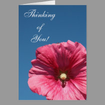 Pink Beauty cards