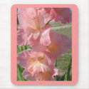 Pink Beauty mousepads