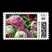 Pink Beauty postage