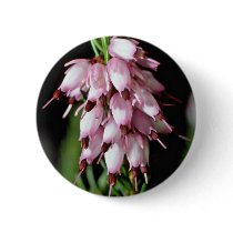 Pink Bell-Shaped Cluster flowers