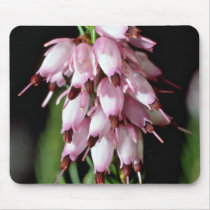 Pink Bell-Shaped Cluster flowers Mousepad