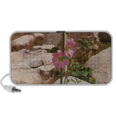 Pink Bindweed PC Speakers