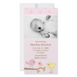 Pink Birds Birth Announcement Custom Photo Card