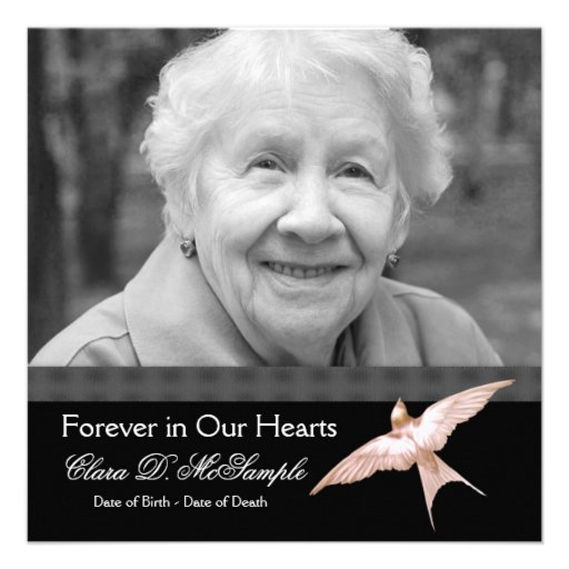 Pink Black Dove Womans Photo Funeral Announcements