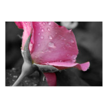Pink & Black Poster posters by OrphieG Pink & Black Poster posters