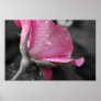 Pink & Black Poster