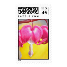 Pink Bleeding Hearts Flowers Postage Stamps