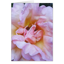 Pink Bloom Blank Cards
