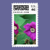 pink bloom stamps