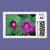 pink bloom stamps