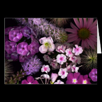 Pink Blooms of June cards