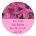 Pink Blooms stickers by Priscilla48 Pink Blooms stickers