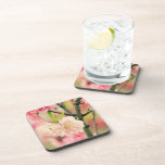 Pink Blossom Coasters cork coasters